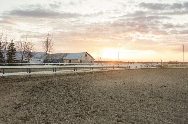 Zo houd je een paard aan huis