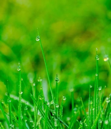 Dit moet je weten over kunstgras schoonmaken