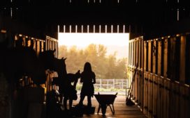 Geef jouw trouwste vrienden wat zij verdienen met een dierenverblijf op maat!